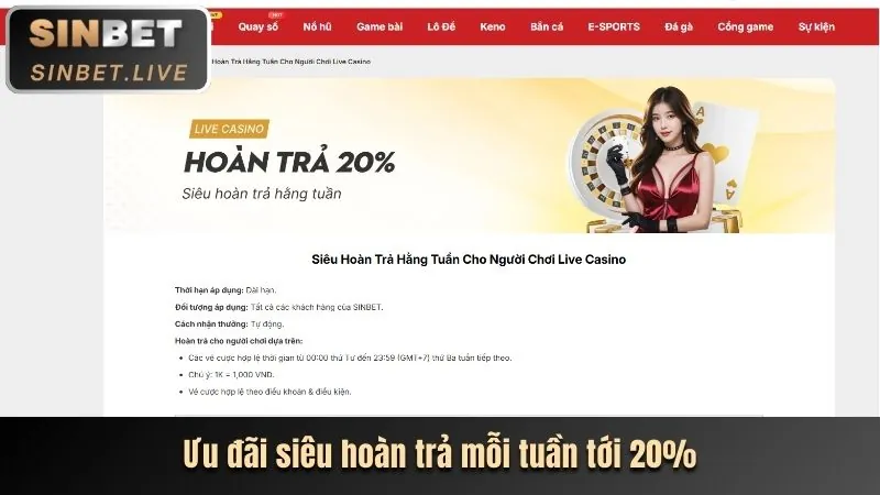 Trải nghiệm casino trực tuyến với người chia bài thật